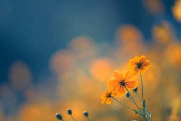 奔驰G55与G500的区别是什么？