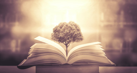 12580是不是车辆违章查询的号码