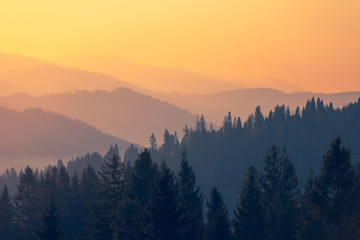 惠风和畅的意思是什么