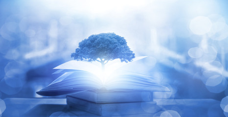 沈阳站到沈阳南站多远