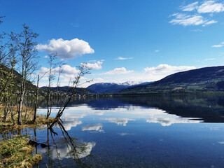 12123预约成功后不缴费会怎么样