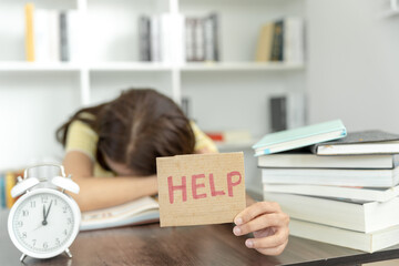 急求 从北京到宁晋的长途客车最早几点.从哪发车