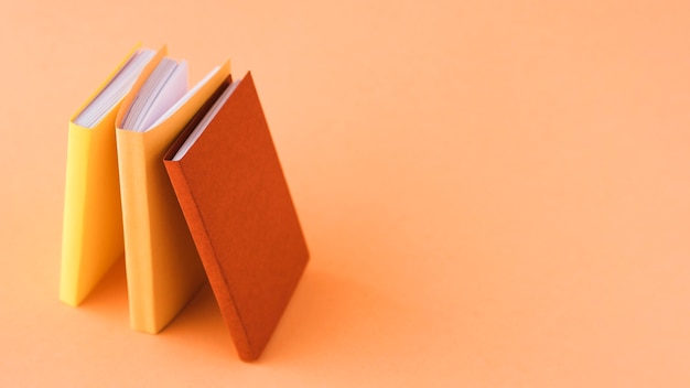 急求 从北京到宁晋的长途客车最早几点.从哪发车