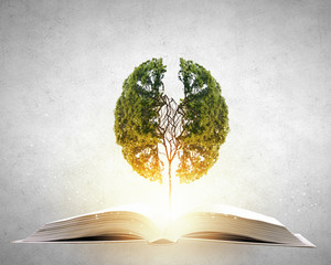 急求 从北京到宁晋的长途客车最早几点.从哪发车