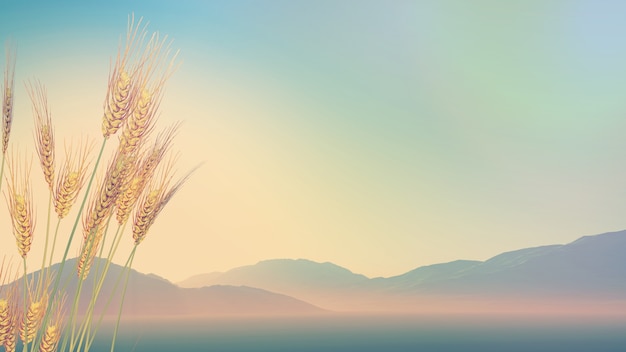 急求 从北京到宁晋的长途客车最早几点.从哪发车