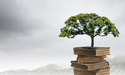 沈阳站到沈阳南站多远