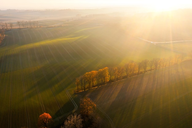 为什么京东、途虎上的轮胎比实体店便宜那么多-